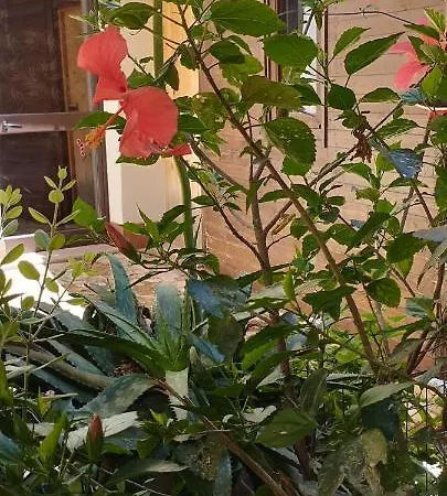 Bed & Breakfast Corte Dei Venti