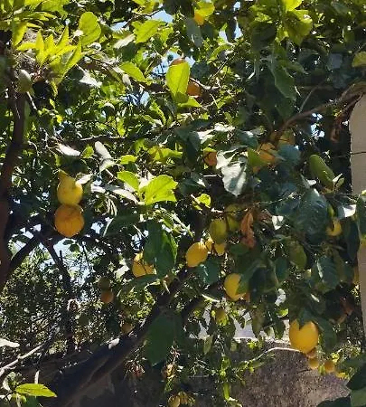Corte Dei Venti Alojamento de Acomodação e Pequeno-almoço Valderice