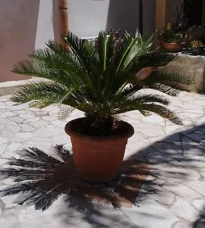 Corte Dei Venti Bed & Breakfast 3*