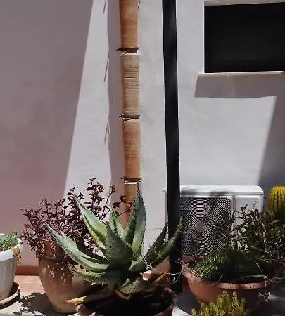 Corte Dei Venti 3* Valderice