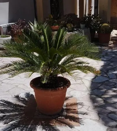 Corte Dei Venti Bed & Breakfast 3*