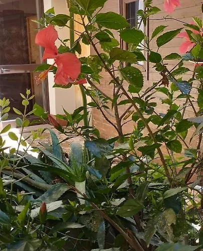 Bed and breakfast Corte Dei Venti