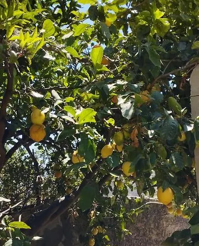 Corte Dei Venti Bed and breakfast Valderice