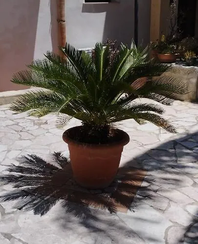 Corte Dei Venti Bed and breakfast 3*