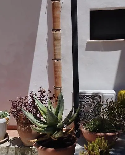 Corte Dei Venti 3* Valderice