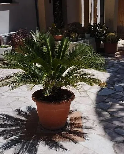 Corte Dei Venti Bed and breakfast 3*